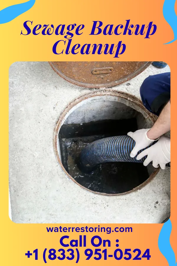 Sewage Backup Cleanup in Muleshoe, TX